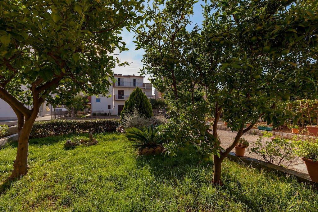 Apartmani Sanja Šuta Podstrana Bagian luar foto