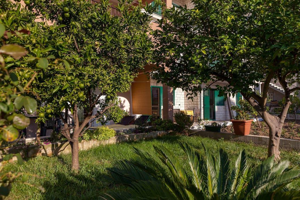Apartmani Sanja Šuta Podstrana Bagian luar foto
